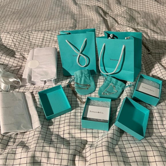 Tiffany & Co Infinity Double Chain Sterling Silver Necklace - Picture 5 of 5